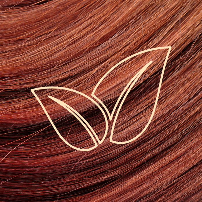 Minimalist vegan leaf icon over a background of shiny, reddish-brown hair—indicating that Blake Brown haircare products are vegan and made without animal-derived ingredients.