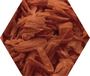 Cedarwood, one of the base notes in Blake Brown's Bergamot Woods fragrance.