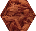 Cedarwood, one of the base notes in Blake Brown's Bergamot Woods fragrance.